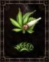 Weed_World